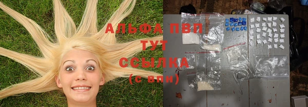 2c-b Алзамай