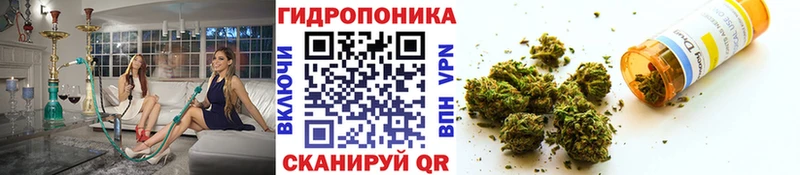 купить  сайты  Бавлы  Марихуана тримм 